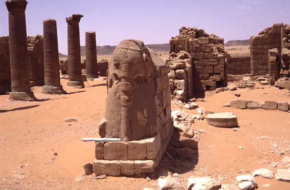  ST2AR CQ WW DX CW Contest 2009 DX 